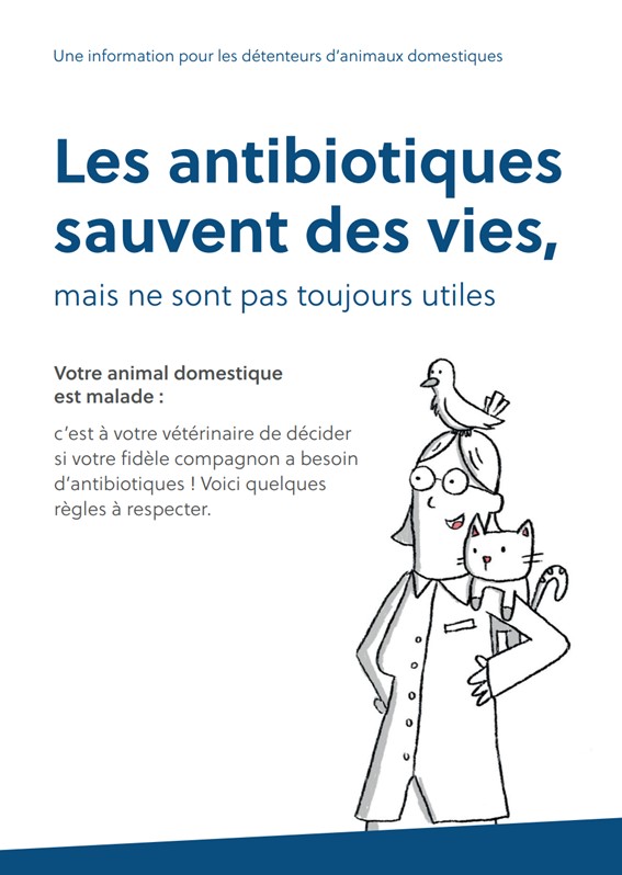 Mockup_Infoblatt Tier_f_main Fiche d’information : utilisation des antibiotiques chez l’animal (A5)